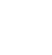 Root Canal